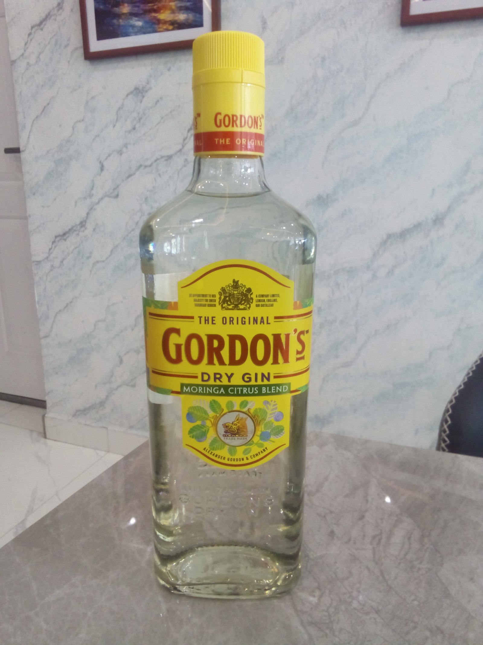 Gordon's Gin white at Oceanova